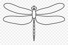 Download Clip Art Transparent Collection Of Free Dragonfly Svg Icon Png Download 481283 Pinclipart