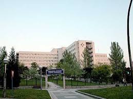 We did not find results for: Aqui Esta Primer Accidente En Pedro Asua Con Destino Hospital Norte Expres Noticias De Vitoria Gasteiz Y Alava