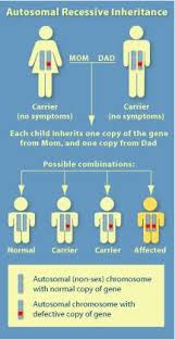 Maple Syrup Urine Disease Msud Huntington Disease Cystic Fibrosis Cystic Fibrosis Awareness