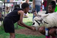 2026 Madison Heights Juneteenth Celebration