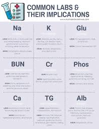 Cheat Sheet With Clinical Labs Commonly Used In Nutrition Great For Clinical Dietitians And D In 2020 Nursing School Notes Nursing School Tips Nursing School Survival