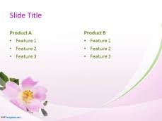 Long slender spikes of blossoms with florets blooming along the stem may also be bare twigs used to create an outline of the arrangement examples: Free Beautiful Flowers Ppt Template