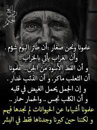 pin by mona shhadi on screenshots proverbs quotes wisdom quotes life wisdom quotes