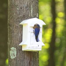 We did not find results for: Bluebird House Of Molded Plastic Barn Owl Box Company