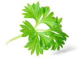 Beinodem Hausmittel Gegen Wassereinlagerungen In Den Beinen Hausmittelhexe Wassereinlagerungen Naturlich Entwassern Hausmittel