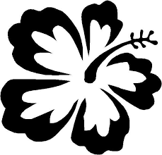 Pin By Tonjia Runyon On Gluten Free Meals In 2020 Hawaiian Flower Drawing Flower Drawing Flower Coloring Pages