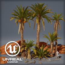 Dates are grown commercially for the american markets, and most of the medjool date palm trees are located in california. Artstation Date Palm Trees Egor Fjordreig Izotenkov