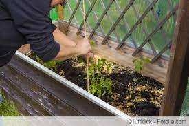 Rankgitter holz selber bauen sichtschutz rankgitter selber. Diy Anleitung Pflanzkasten Mit Rankgerust Selber Bauen Hausgarten Net