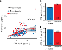 Ferritin regulates organismal energy balance and thermogenesis. Ferritin Levels In The Cerebrospinal Fluid Predict Alzheimer S Disease Outcomes And Are Regulated By Apoe Nature Communications