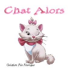 Résultat de recherche d'images pour "rigolo gif chat humour"