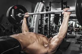 Image result for chest workout