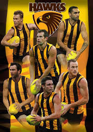 The official colors of the hawthorn football club team are brown and gold. 19 Hawks Rule Stuff Ideas Hawthorn Hawks Afl Hawthorn Football