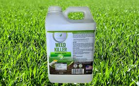 If you are asking yourself how long after lawn treatment is it safe for pets, the general answer would be to keep them away for at least 30 hours. Amazon Com Natural Elements Weed Killer Pet Safe Safe Around Children Natural Herbicide 1 Gallon Garden Outdoor