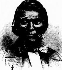 Image from page 458 of "The polar and tropical worlds [mic…