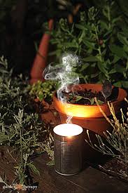 This oil acts like an invisibility blanket to pests. How To Make Diy Citronella Candles
