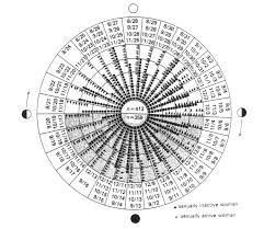 Lunar And Menstrual Phase Locking