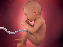 32 Weeks Pregnant Fetal Development Babycentre Uk