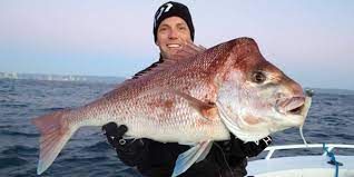 Fishing Flathead Lake Agate Bay Lodge The Best Spot For Fishing Vacations