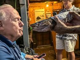 Kathryn Gayner's Instagram, Twitter & Facebook