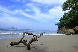 We did not find results for: Menikmati Pesona Pantai Nanggelan Di Ujung Selatan Jember Ilhamsadli Com
