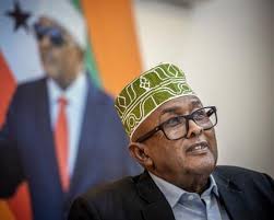 Exclusive: Somaliland president says recognition of state 'on the horizon'  following Trump talks