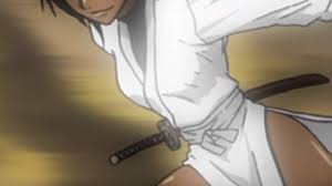 What Is Yoruichi Shihōins Bankai in Bleach?