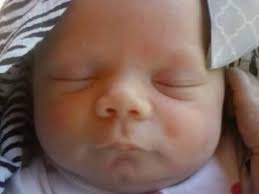 Fundraiser for Anthony Plummer by Josh Blum : The Plummer Family Fund