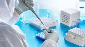 Jakarta Deputy Comments On City S Pcr Swab Test Daily Average News En Tempo Co Tempo Co