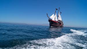 You can learn more about that site here. 5 Facts About Today S Pirates Pirate Ship Vallarta Blog