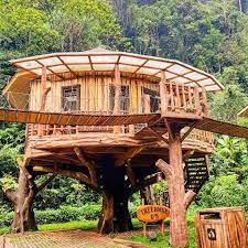 Beraneka ragam flora dan fauna terdapat pada taman safari ini hampir 5000 jenis spesesies terdapat di dalamnya. Rumah Pohon Safari Lodge