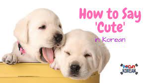 Apr 19, 2018 · this korean word, ' 아름답다 ' would be a useful word for you to remember: How To Say Cute In Korean English To Korean Language Facebook