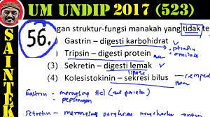 Check spelling or type a new query. Soal Um Uny Saintek Dan Pembahasan Kemendikbud