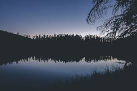 The return of light or sound waves from a surface. How To Achieve Wonderful Reflections In Photography 5 Useful Tips