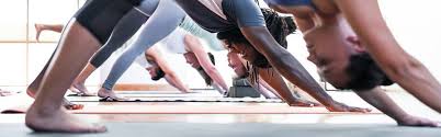 In topanga i have discovered a gem: Yogaworks Teacher Training In January Viveka Essential Oils Vivica Schwartz Yoga Ayurveda