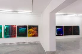 Sebastien Bonin Salon Indien 2014 Exhibition View Island Brussels
