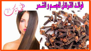 تعرفي علي فوائد القرنفل للجسم و الشعر وصفات لتطويل الشعر وصفة لتطويل ا Breakfast Food