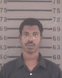 Probation violation and obstruction charges in Albany, GA