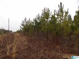 This map is refreshed with the newest listings in jackson county every 15 minutes. Jackson Trl Unit 4 Acres Altoona Al 35952 Mls 862535 Redfin