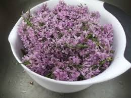 Preparing Lilacs For Recipes Foraging Recipes Flower Food Foraged Food