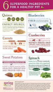 Spring Naturals Healthy Dog Food Recipes Make Dog Food Raw Dog Food Recipes