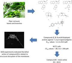 Plant cell and animal cell me antar. Antitrypanosomal Activity And Effect In Plasma Membrane Permeability Of Bornyl P Coumarate Isolated From Piper Cernuum Piperaceae Sciencedirect