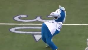 Nothing makes you feel loved quite like a special delivery from your favorite mascot, blue! Watch Colts Mascot Destroys Kids On Football Field Cbssports Com
