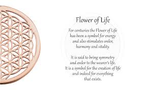 Flower Of Life Meaning Meaning Flower Of Life Engelsrufer De Com Flower Of Life Meaning Flower Of Life Flower Of Life Tattoo