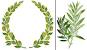 Logo Olive Leaf