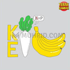 Kunci Jawaban Tebak Level 33 Terbaru Beserta Gambarnya