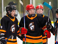 PHOTOS: Clarke Road vs. South, AA girls' high school hockey final | London  Free Press
