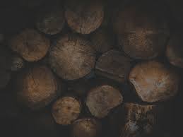 With a full service t. City Lumber Wholesale