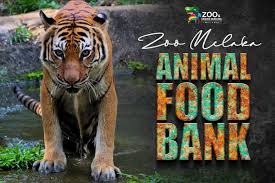 Maybe you would like to learn more about one of these? Zoo Melaka Taman Burung Home Facebook