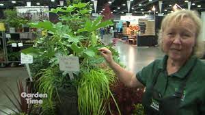 Now this is what i would call a proper garden display. Garden Time At The Fall Home And Garden Show 2018 Youtube