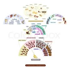 Seating Chart Of Musical Instrument For Stock Image
